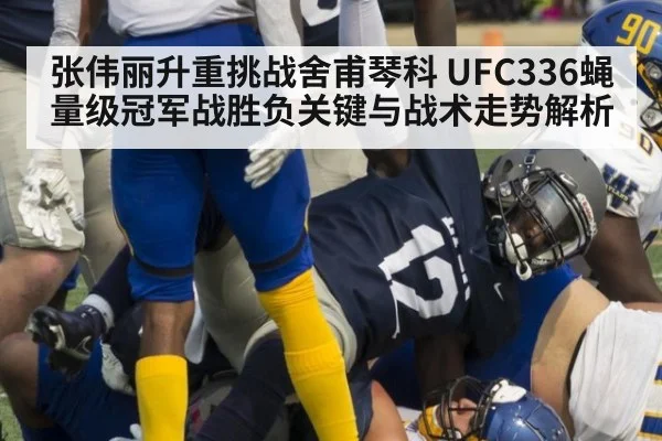 张伟丽升重挑战舍甫琴科 UFC336蝇量级冠军战胜负关键与战术走势解析